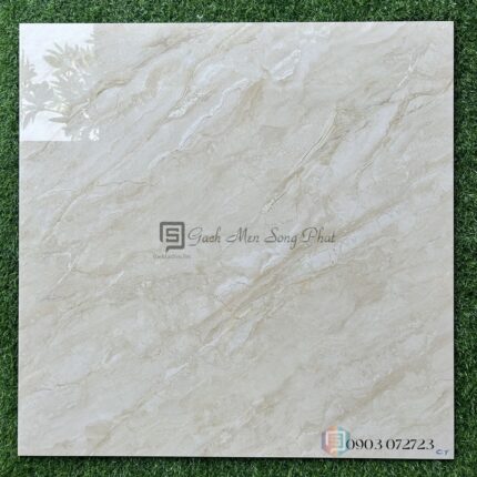 Gạch ốp lát Catalan 80x80cm 80106
