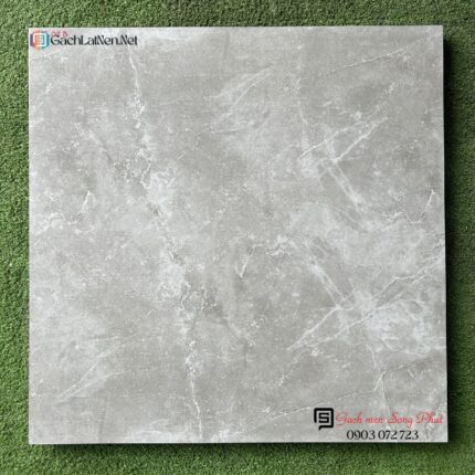 Gạch lát nền Kis Chang Yih 60x60 kht08B
